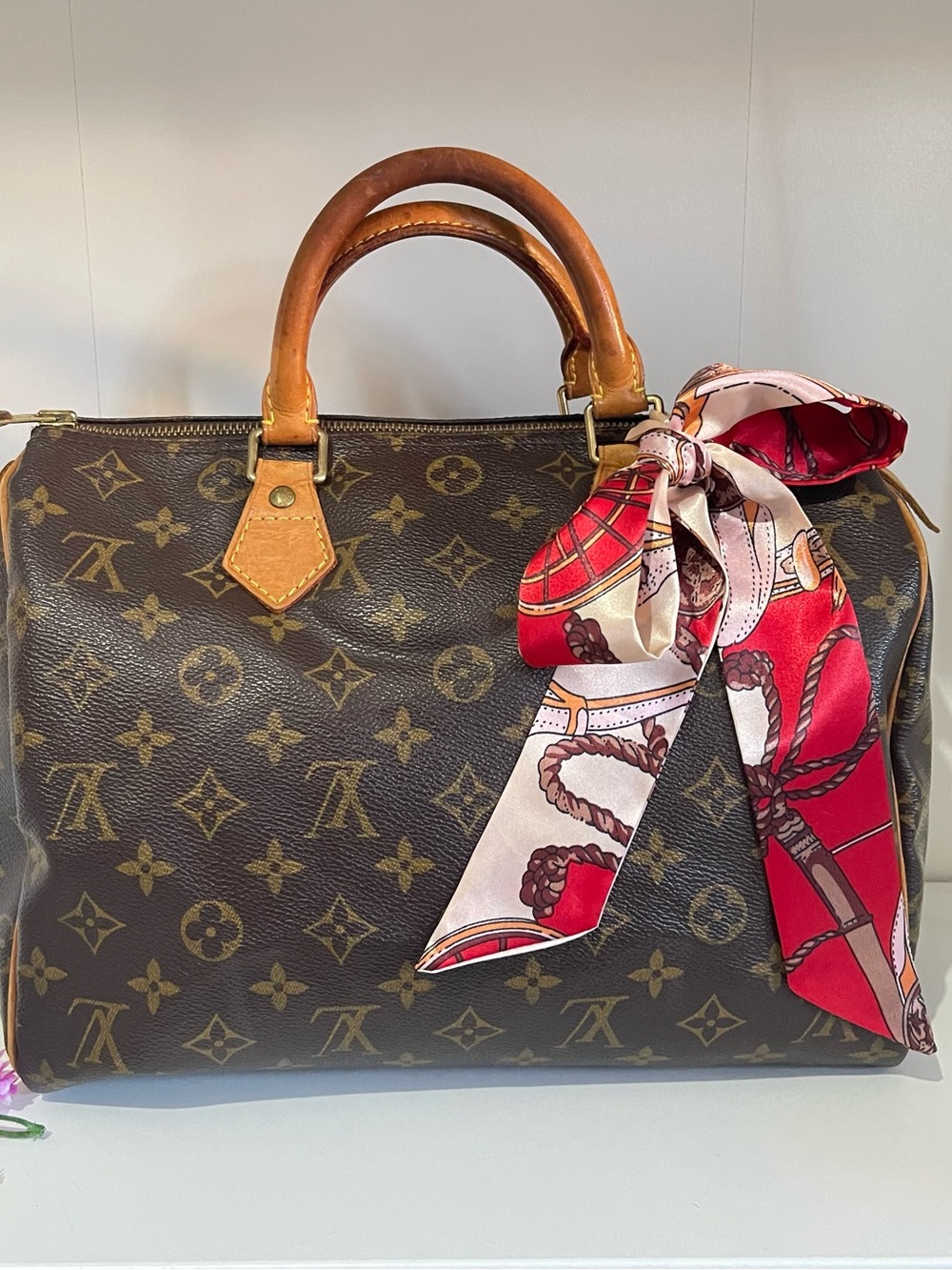 LOUIS VUITTON Speedy 30 handbag